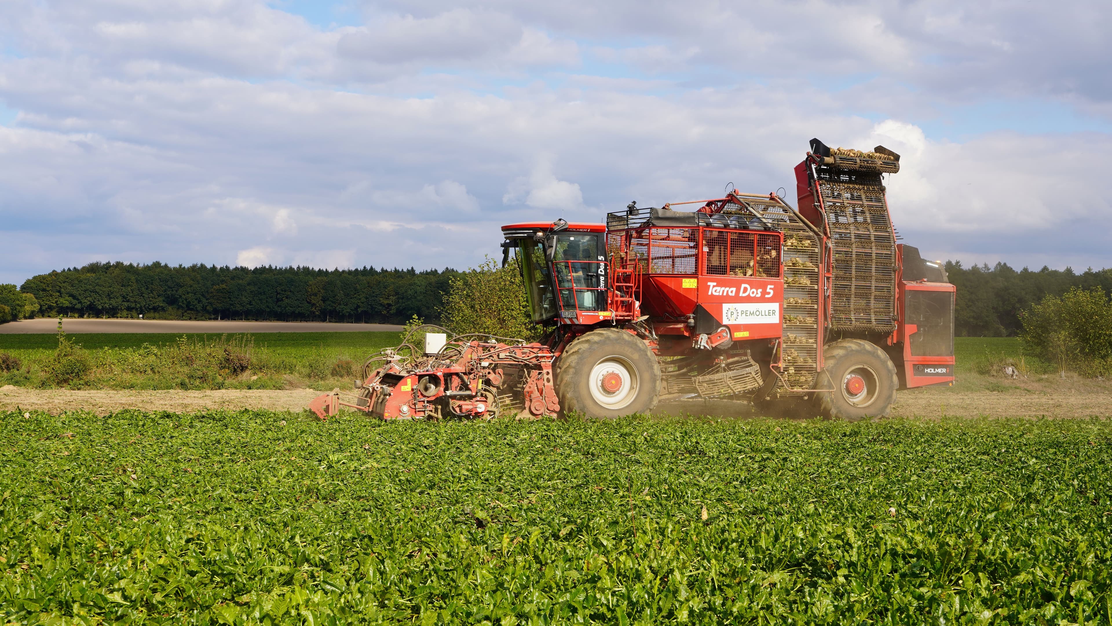 Agroindústria