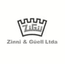 Ziini